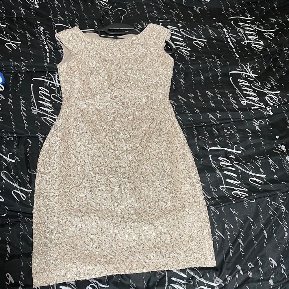 One time wore size 6 petite Vince Camuto, champagne color absolutely gorgeous